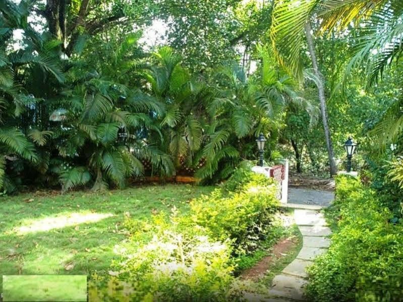 فندق Little Italy كالانغيُت المظهر الخارجي الصورة